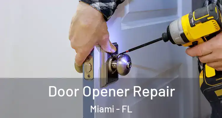  Door Opener Repair Miami - FL