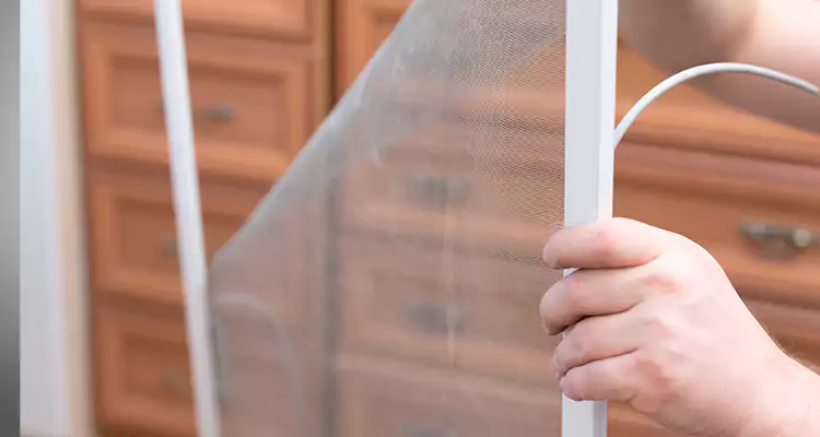 Privacy Mesh Screen Door Installation in Miami, FL