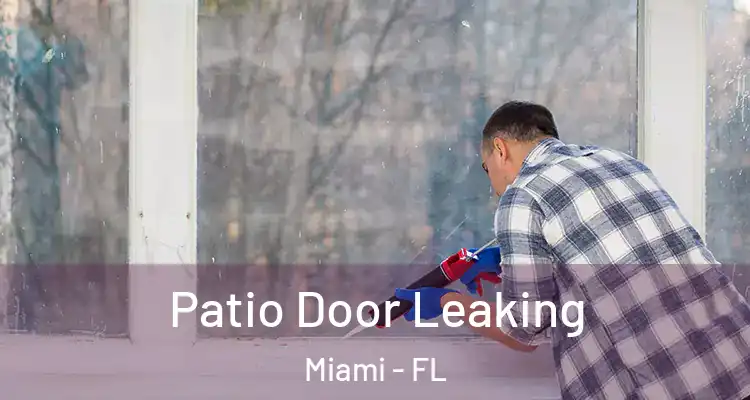  Patio Door Leaking Miami - FL