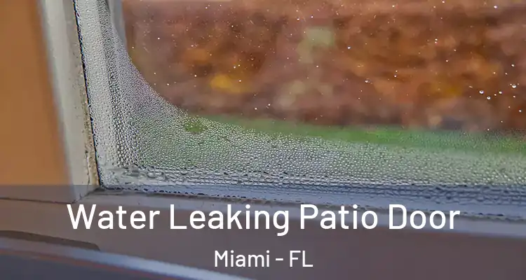  Water Leaking Patio Door Miami - FL